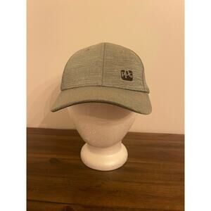 Gray PPG Adjustable Baseball Hat